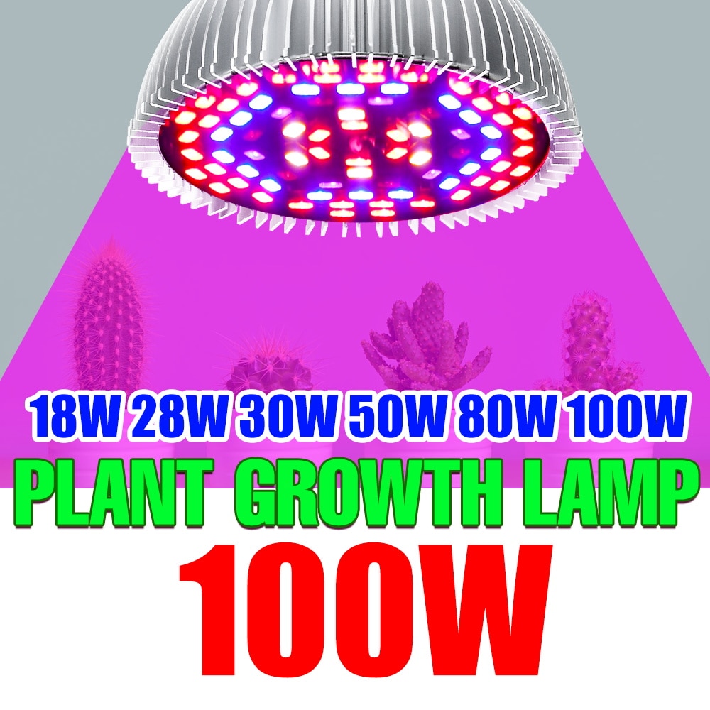 220V Phytolamp E27 Phyto  LED   ü Ʈ..